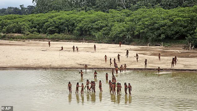 A Common Cold Could Wipe Out an Uncontacted Tribe in the Amazon, Warns Mashco Piro Elder