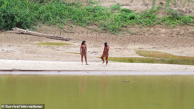A Common Cold Could Wipe Out an Uncontacted Tribe in the Amazon, Warns Mashco Piro Elder