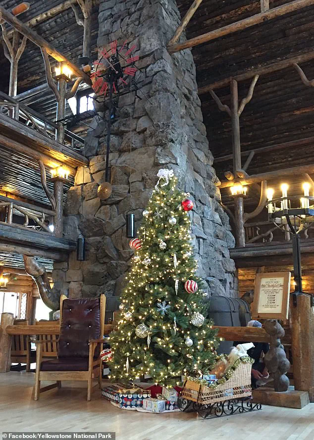 Breaking: Yellowstone National Park Celebrates Christmas Twice a Year – Early Yuletide Fun in August!