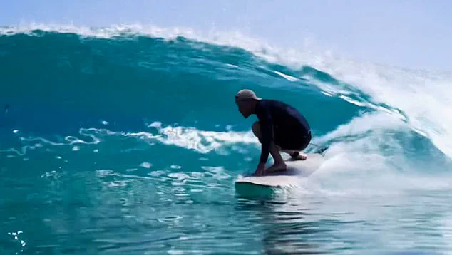 Prince Harry's US Visa Controversy: A Confluence of Privacy, Diplomacy, and Public Scrutiny