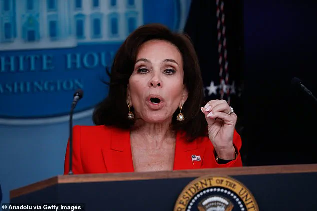 Prince Harry's US Visa Controversy: A Confluence of Privacy, Diplomacy, and Public Scrutiny