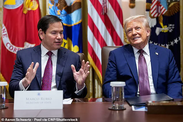 Prince Harry's US Visa Controversy: A Confluence of Privacy, Diplomacy, and Public Scrutiny