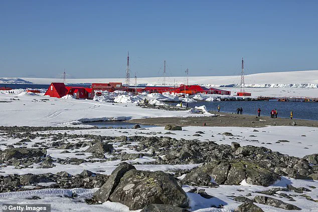 Breaking: Influencer Freed After Two-Month Detention in Antarctica Amid International Legal Dispute Over Unauthorized Flight