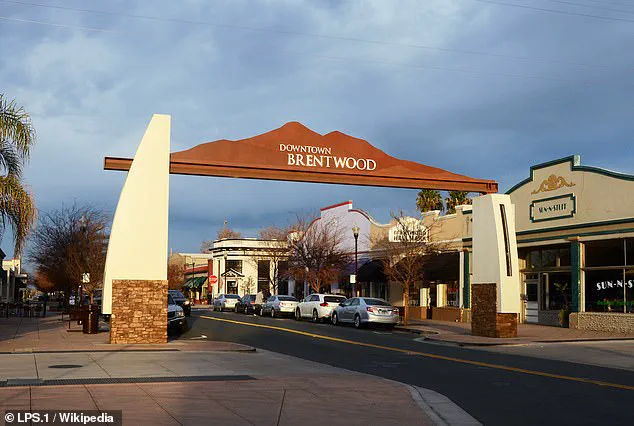 Privileged Insights: The Hidden Toll of Brentwood's Most Punishing Commute