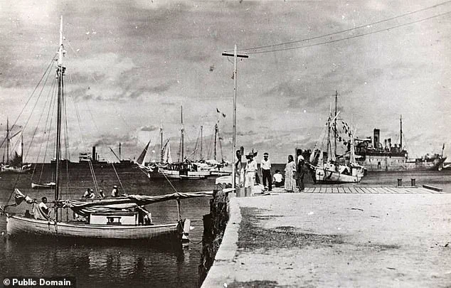 Race Against Time: Congresswoman's Urgent Push to Declassify Files in Amelia Earhart's 90-Year Mystery