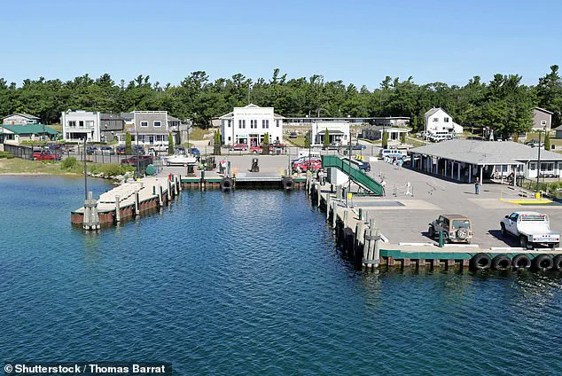 Beaver Island's Deer Overpopulation Crisis Threatens Fragile Ecosystem as Three Deer Per Resident Devour Native Flora