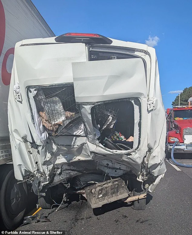 Deadliest Georgia Traffic Incident Under Investigation After Six-Vehicle Pileup Claims Eight Lives