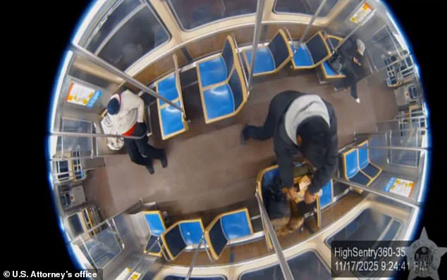 Chicago Woman's Harrowing Attack Sparks Nationwide Call for Justice