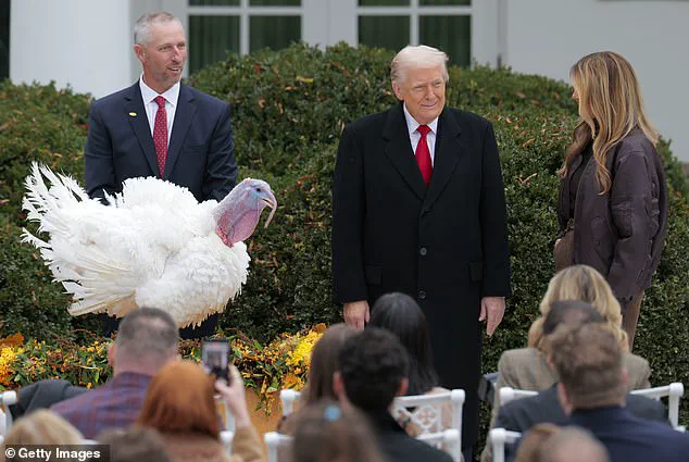 Trump's 2025 Turkey Pardon Ceremony: Humor and Political Critique Take Center Stage