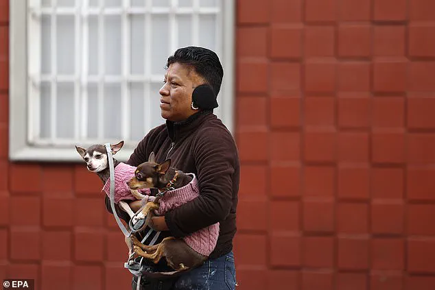 6.5-Magnitude Earthquake Strikes Mexico, Disrupts President’s Press Briefing