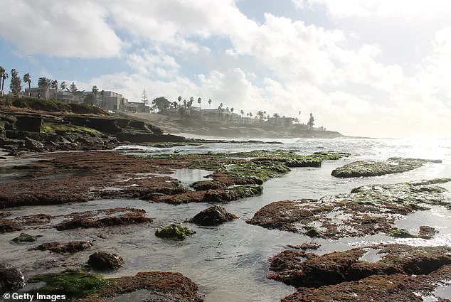 La Jolla's Tragic Encounter: King Tides and Human Recklessness Highlight Coastal Vulnerability