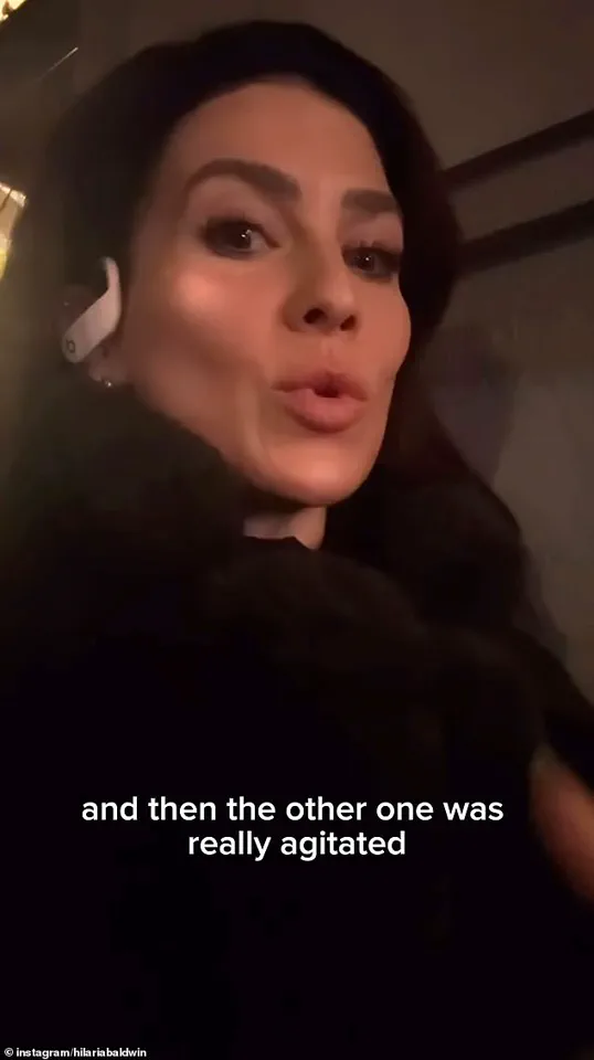 Hilaria Baldwin's Subway Encounter with NYPD Sparks Debate Over Harassment Claims, Language Barriers, and Privilege