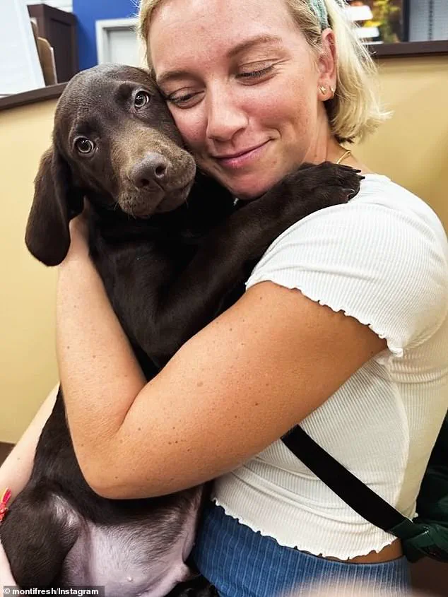 Secrecy Surrounds Pittsburgh Electrocution: Limited Access to Critical Details