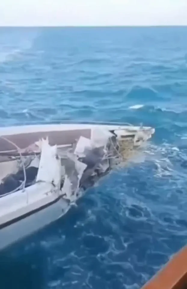 Speedboat Collision in Andaman Sea Leaves 55 Adrift Near Phi-Phi Islands