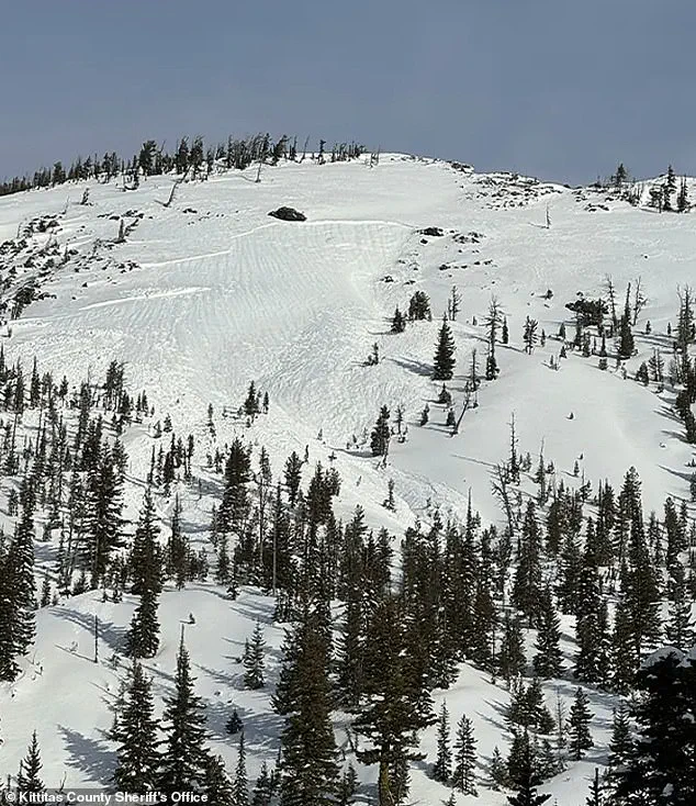 Avalanche in Washington State Claims Two Lives Near Longs Pass Trail