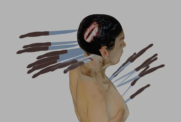 Bureaucratic Failure and the Public's Quest for Justice: The Ellen Greenberg Case