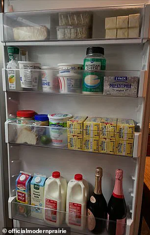 Melissa Gilbert's Silence Amid Husband's Child Abuse Allegations Sparks Public Debate