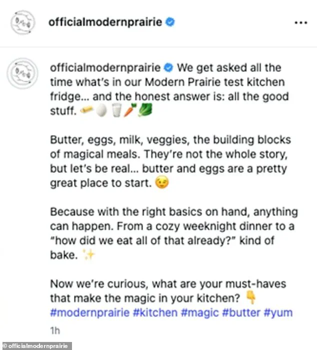 Melissa Gilbert's Silence Amid Husband's Child Abuse Allegations Sparks Public Debate