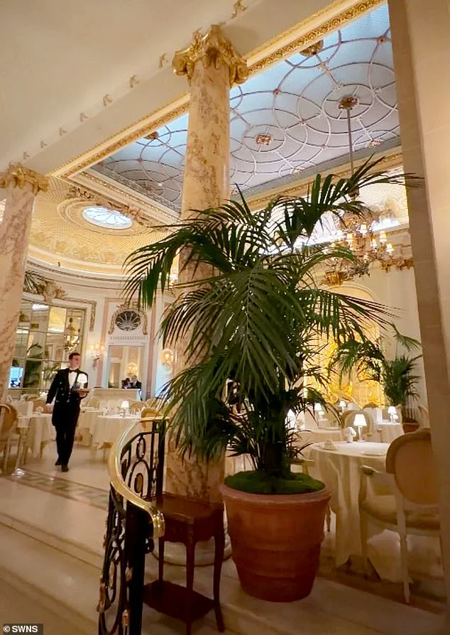 Luxury Hotel Faces Unwanted Crisis as Mouse Intrudes During Afternoon Tea at The Ritz London