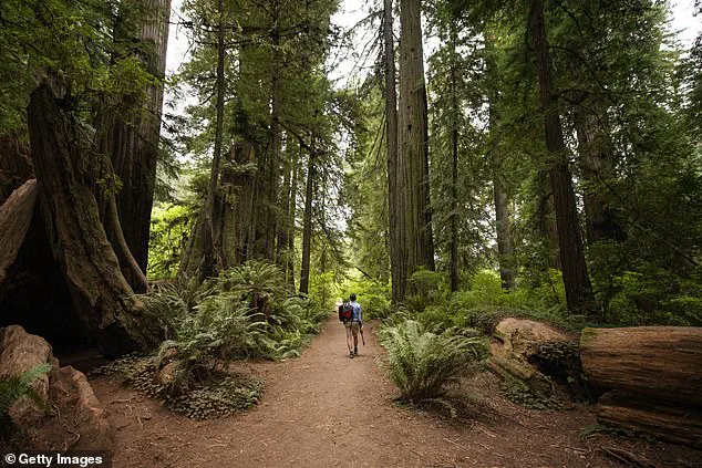 California State Parks Defy Trump's Directive, Offer Free Admission on MLK Day and Juneteenth as Governor Newsom Reignites Debate on Historical Memory and Equitable Access