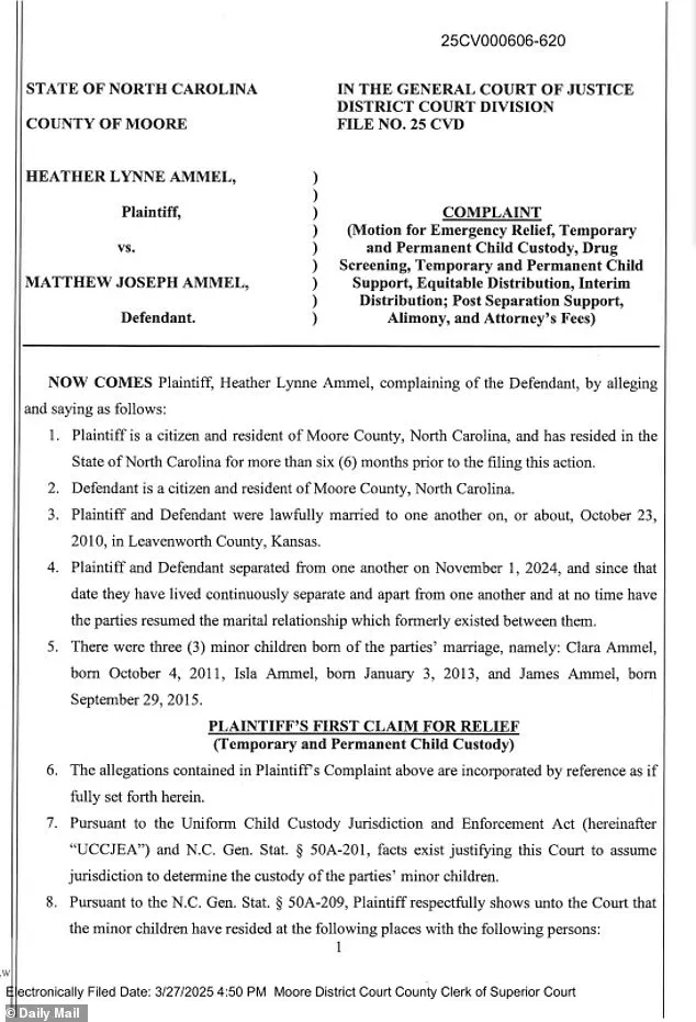 Legal Allegations Against Senator's Bodyguard Spark Debate on Public Trust and Government Accountability