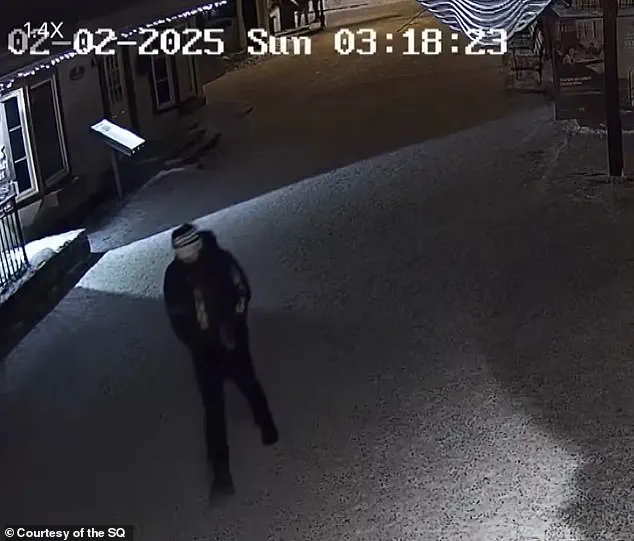 Missing for a Year: New Footage Released in Liam Toman's Case