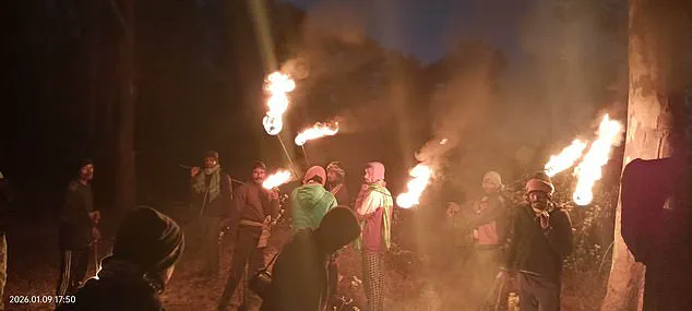 Rampant Elephant in Jharkhand Highlights Gaps in Wildlife Regulation, Leaving Villagers in Peril