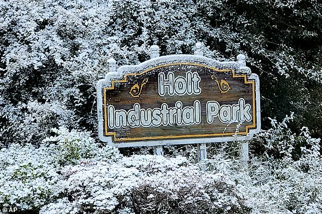 Unprecedented Winter Storm Disrupts 18 States, Including Florida and Georgia