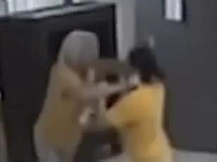 Dramatic Confrontation Between Democratic Leaders Escalates Into Legal Battle, as Footage Reveals Violent Scuffle at Town Hall Meeting