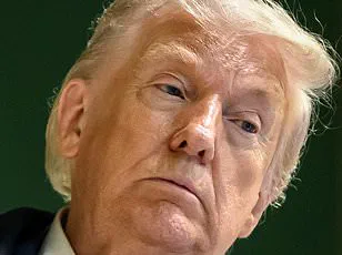 NATO Confronts Trump’s Skepticism: Urgent Tensions Over Alliance Reliability at Davos Summit