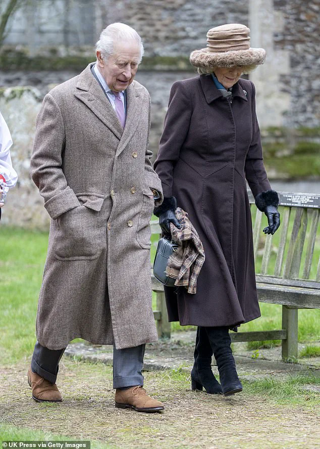 Monarchy's Electric Car Debut Sparks Debate on Environmental Symbolism