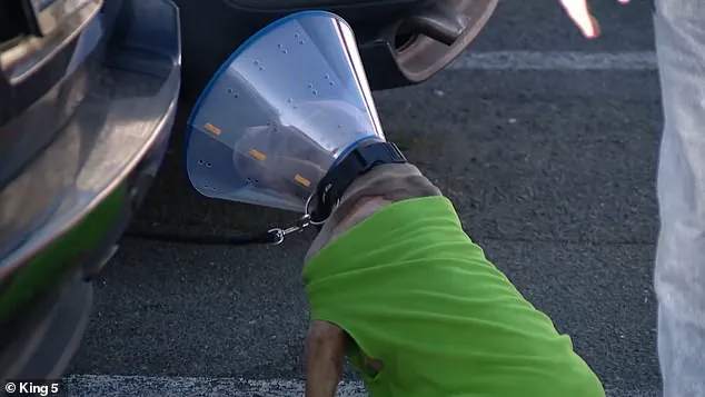 Community Reels After Violent Attack Raises Urgent Questions About Religion's Role in Public Spaces