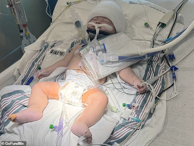 Breaking: Babysitter Arrested in Critical Shaking Incident Involving 3-Month-Old Infant in Madera