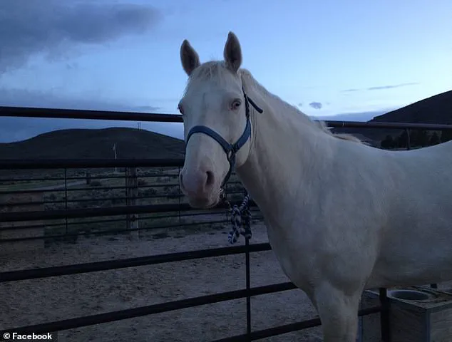 Accused Gang Member Faces Charges in Ritualistic Horse Sacrifice and Double Homicide Linked to Norse Mythology in Washington