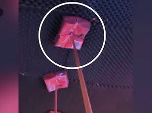 Swiss Nightclub Fire Survivor Eleonora Palmieri Faces Severe Burns and Emotional Scars Highlighting Human Toll