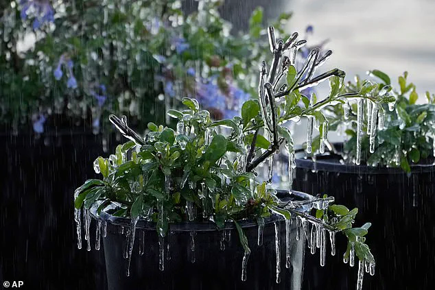 Bracing for Winter Storm Gianna's Freeze: 35 Million Americans in the Crosshairs as 'Frozen Wastelands' Loom