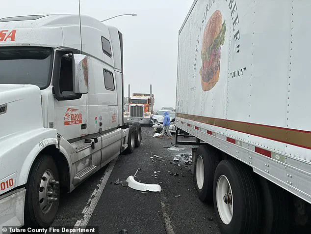 California Highway 99 Shut Down by Massive Fog-Induced Pileup, Highlighting Challenges in Ensuring Road Safety During Extreme Weather