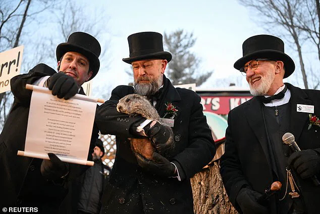 Frosted Forecast: Punxsutawney Phil's Groundhog Day Tradition Amid Winter Storm