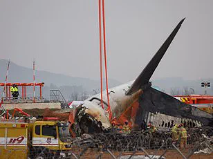 Pilot's Split-Second Decision Avoids Disaster as Bird of Prey Divebombs Aircraft During Takeoff