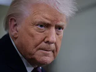 Trump's Divided Legacy: Foreign Policy Criticisms and Domestic Strengths in His Second Year