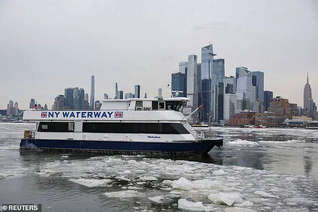 Census Data Reveals Millennial-Dominated Cities as Liberal Strongholds, Attracting Gen Z