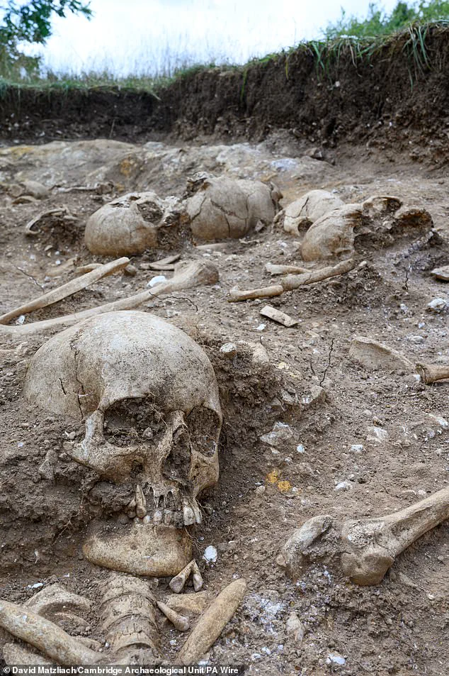 Viking-Era Burial Pit Uncovered in Cambridge Reveals 9th-Century Massacre