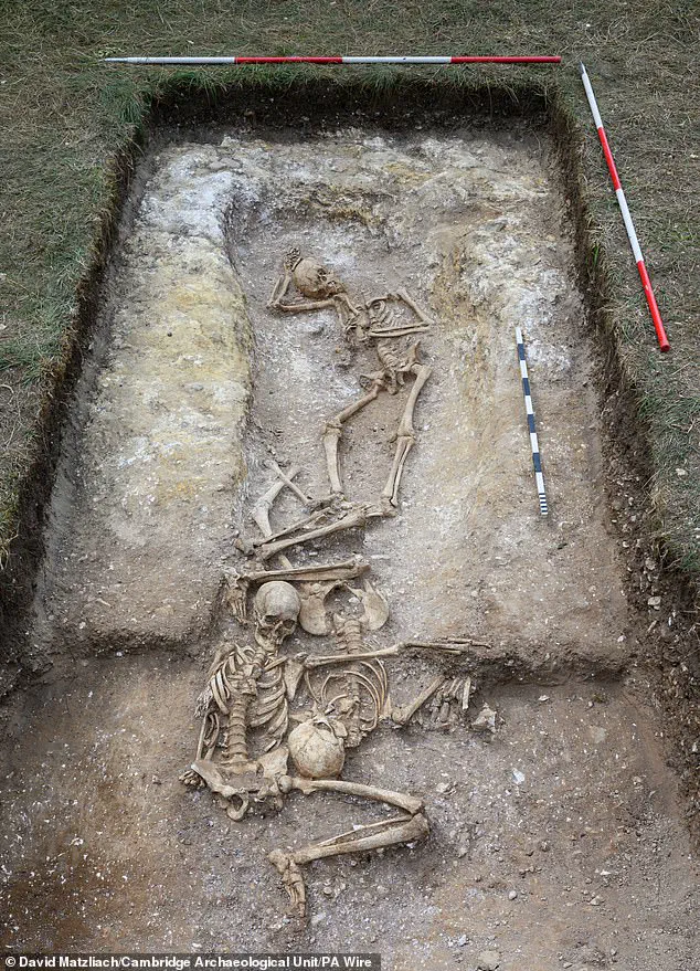 Viking-Era Burial Pit Uncovered in Cambridge Reveals 9th-Century Massacre