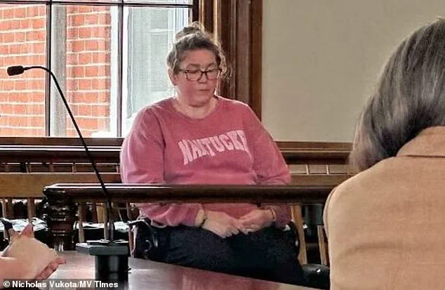 Martha's Vineyard Parents Sue Babysitter Over Child's Death After Being Left in Vehicle