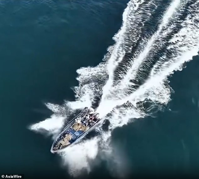 Bryde's Whale Collides with Fishing Vessel Near Weizhou Island, Leaving Scar Amid Regulation Violation