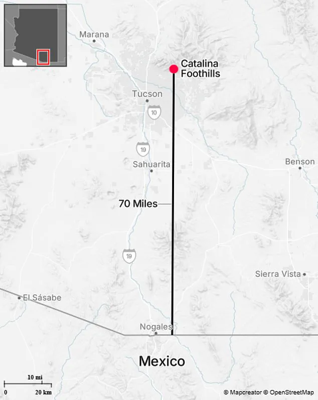 High-Stakes Search for Nancy Guthrie, Mother of Today Show's Savannah Guthrie, Underway in Tucson's Challenging Catalina Foothills