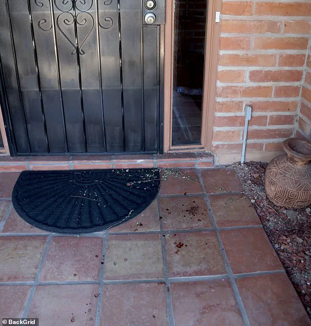 Nancy Guthrie Disappearance: Six Days of Search Yield No Suspects Amid Ransom Claims