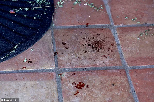 Nancy Guthrie Disappearance: Six Days of Search Yield No Suspects Amid Ransom Claims