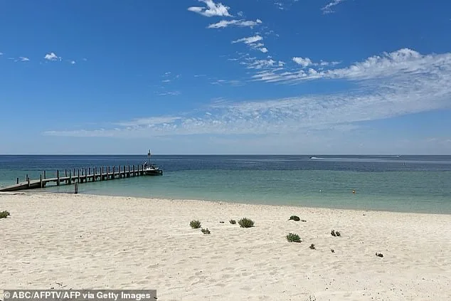 Teen Hero Swims 4km, Runs 2km to Save Family Stranded Offshore