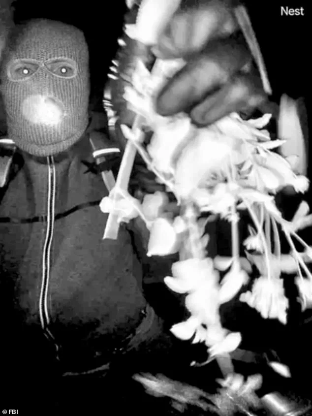 White House Reveals New FBI Footage Shows Masked Figure Tampering with Camera at Home of Missing Savannah Guthrie's Mother